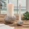 Oceanic Urchin Tapered Candle Holder