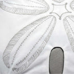 Gray Sand Dollar Pillow
