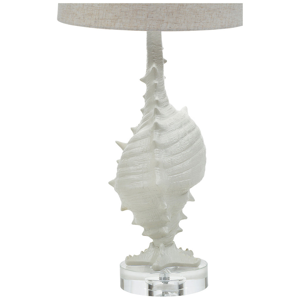Conch Shell Table Lamp - OVERSTOCK