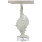 Conch Shell Table Lamp - OVERSTOCK