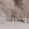 Coastal Grassy Views Wall Art