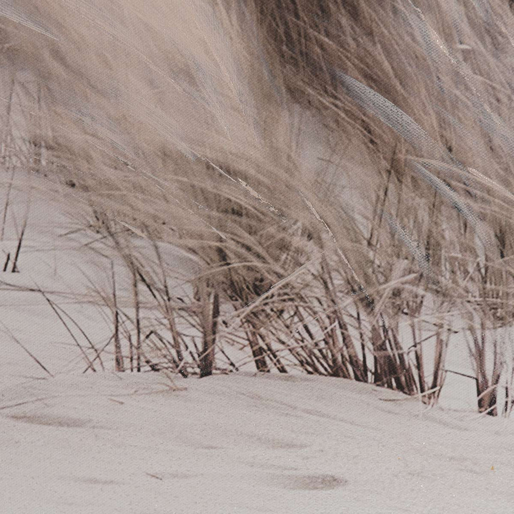 Coastal Grassy Views Wall Art