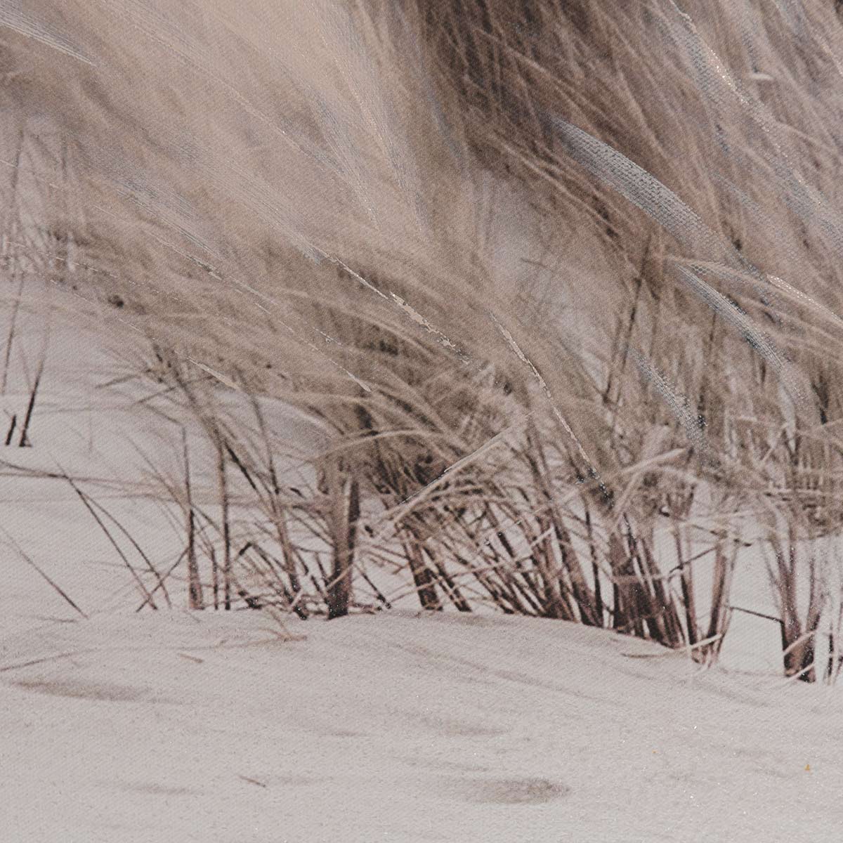 Coastal Grassy Views Wall Art