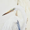 Wetland Morning I Canvas Art