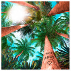 Palm Canopy Personalized Stretched Canvas Art - Small