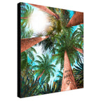 Palm Canopy Personalized Stretched Canvas Art - XXL