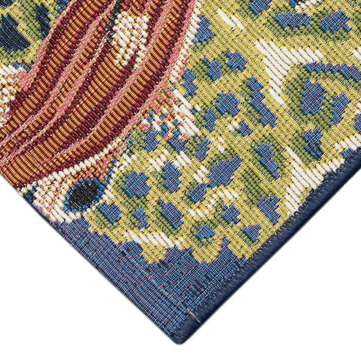 Finned Friends Indoor/Outdoor Floor Mat - 2 x 5