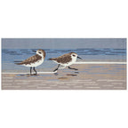 Waders Serenity Indoor/Outdoor Rug - 2 x 5 - OUT OF STOCK UNTIL 10/14/2026