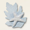 Starfish on Aqua Reef Wood Wall Art - CLEARANCE