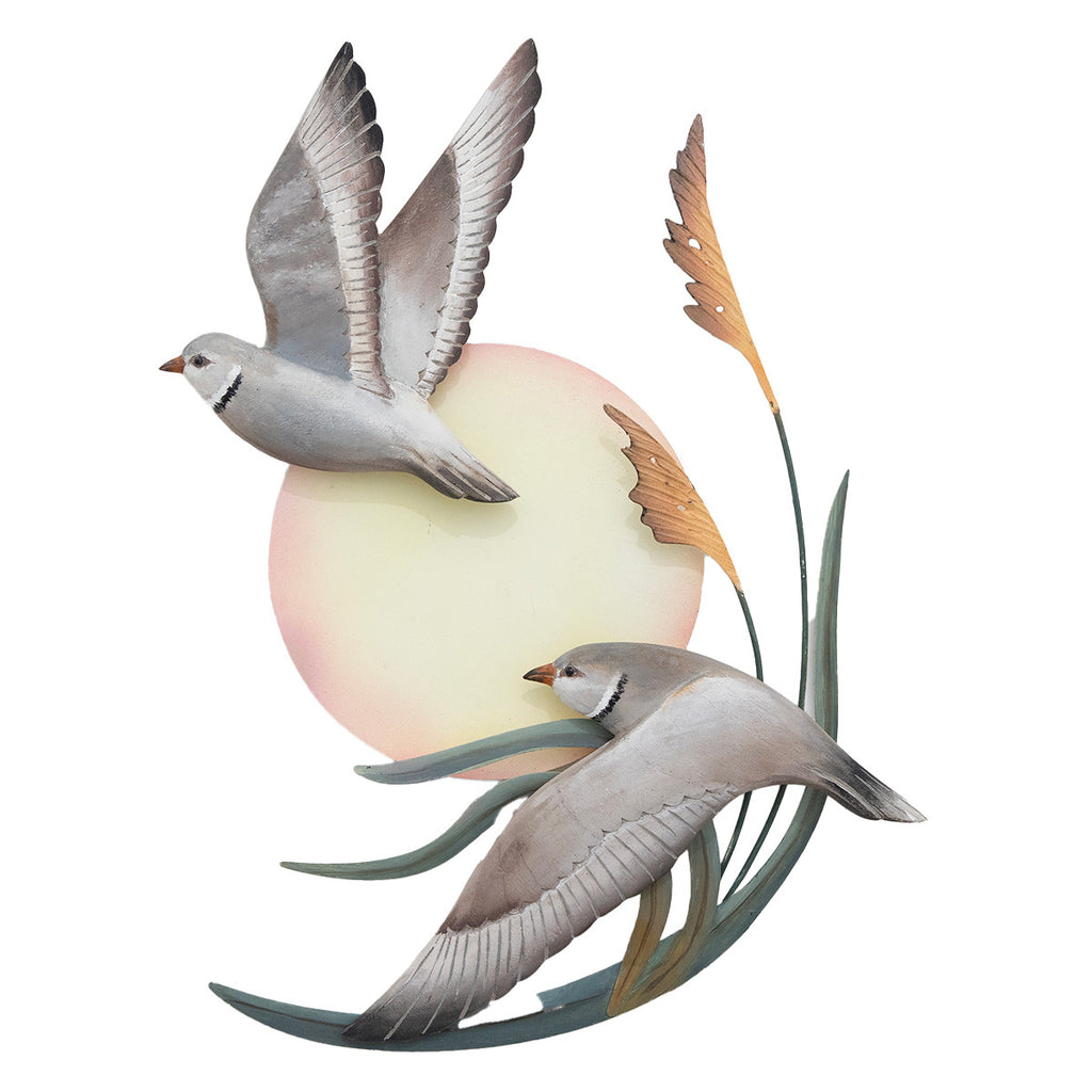 Piping Plover Wall Art