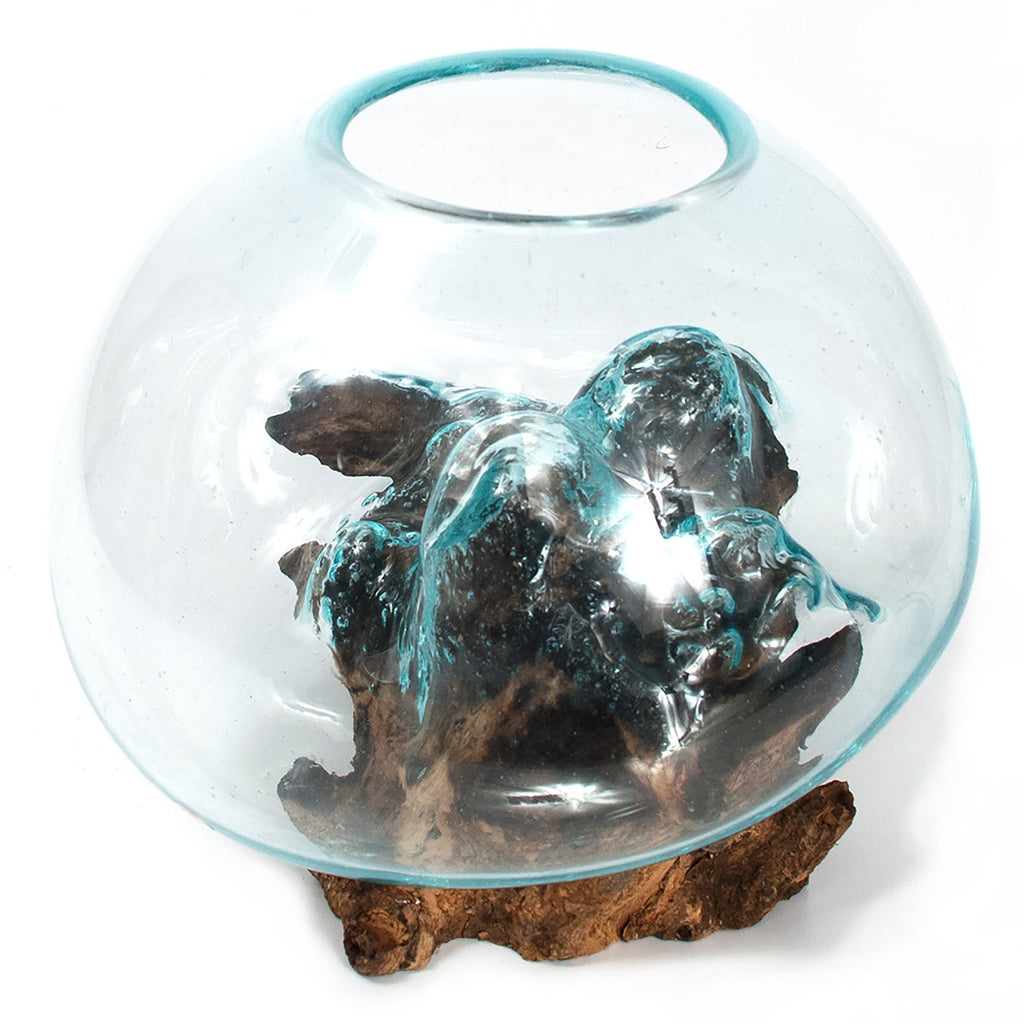 Glass Rootbox Organic Blown Glass & Root Bowl - Medium | Bella Coastal Decor
