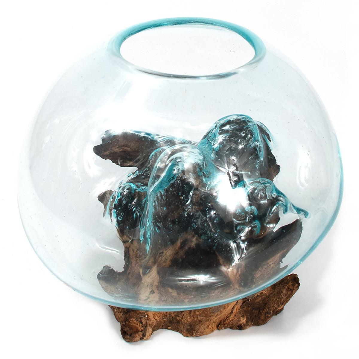Organic Blown Glass & Root Bowl - Medium