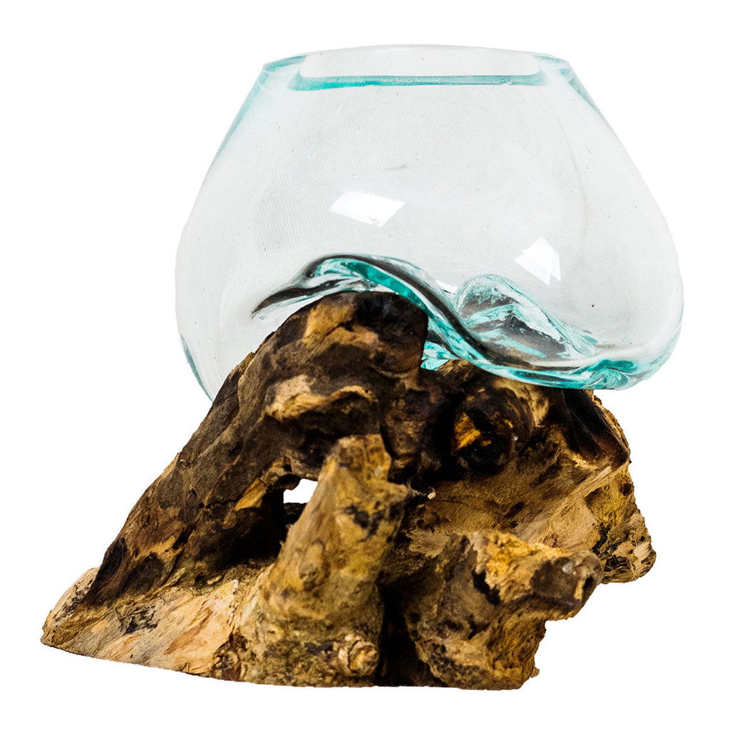 Glass Rootbox Organic Blown Glass & Root Bowl - Small | Bella Coastal Decor