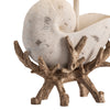 Shell Cradle Table Lamp