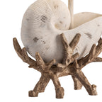 Shell Cradle Table Lamp
