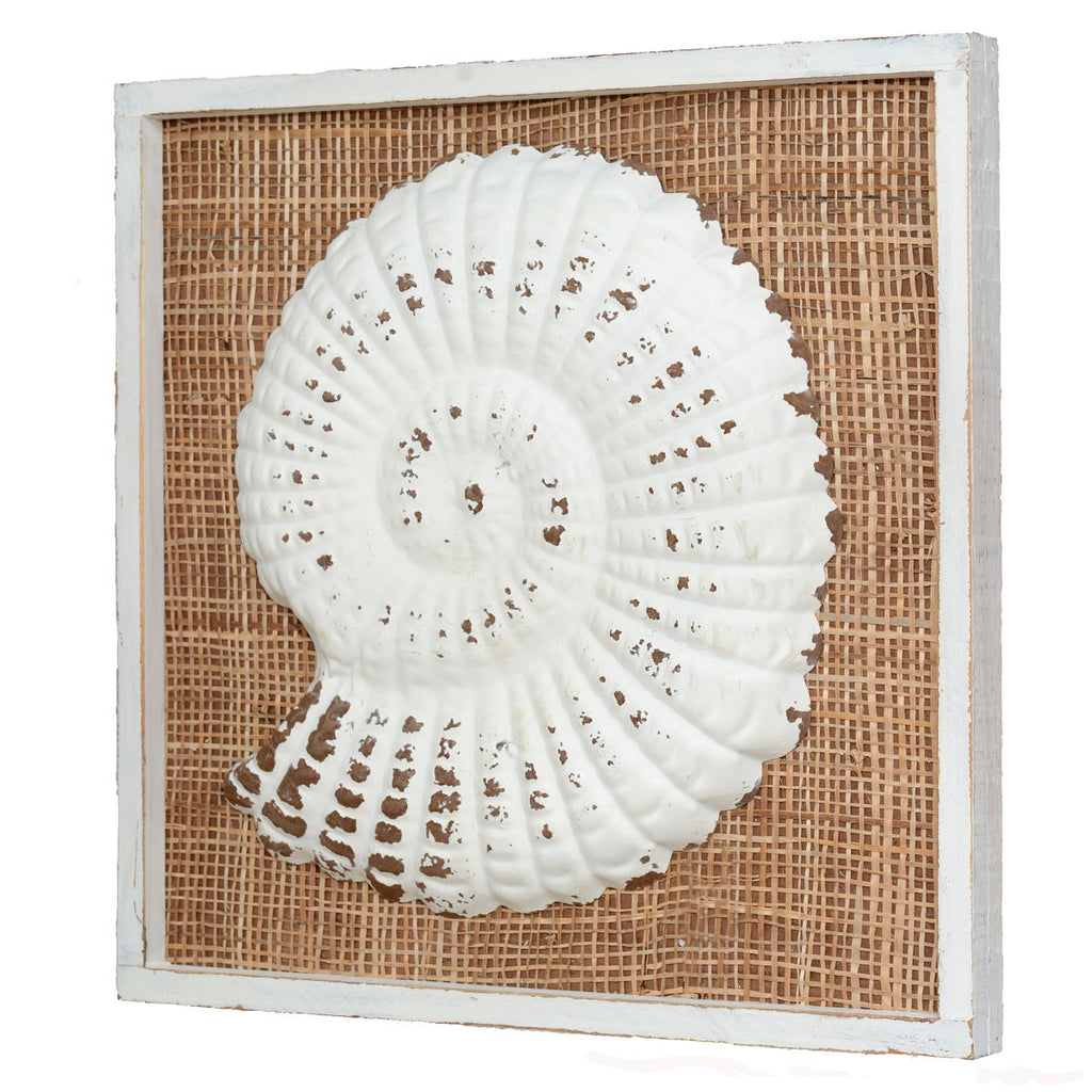 Island Shells Sea Snail Wall Art - CLEARANCE