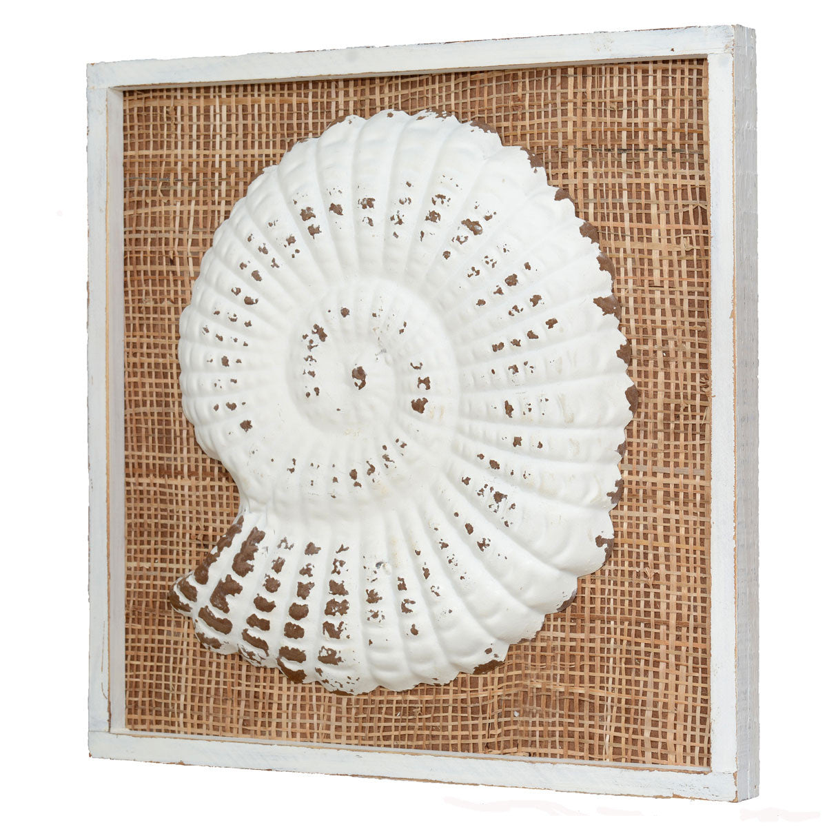 Island Shells Sea Snail Wall Art - CLEARANCE