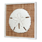 Island Shells Sand Dollar Wall Art - CLEARANCE