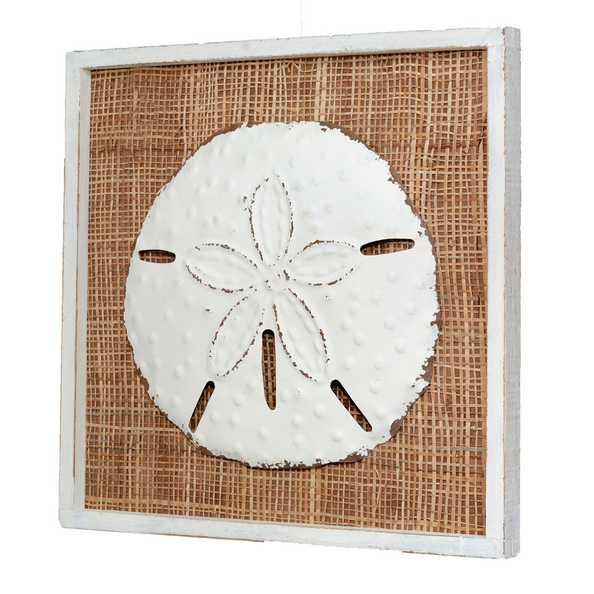 Island Shells Sand Dollar Wall Art - CLEARANCE