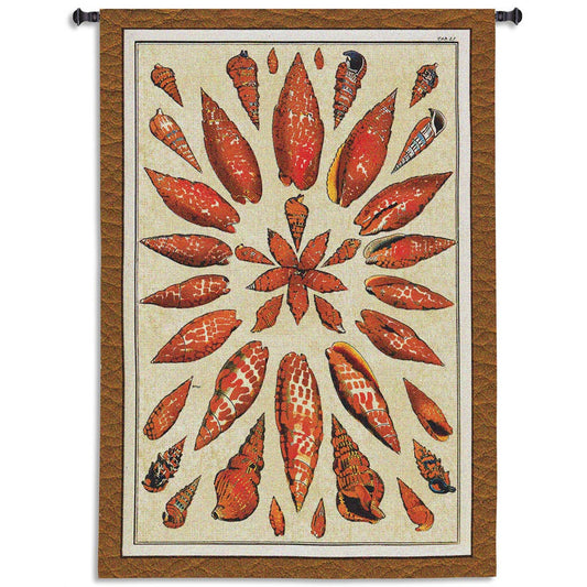 Shells of the Pacific Wall Tapestry