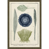 Ocean Journal II Framed Print