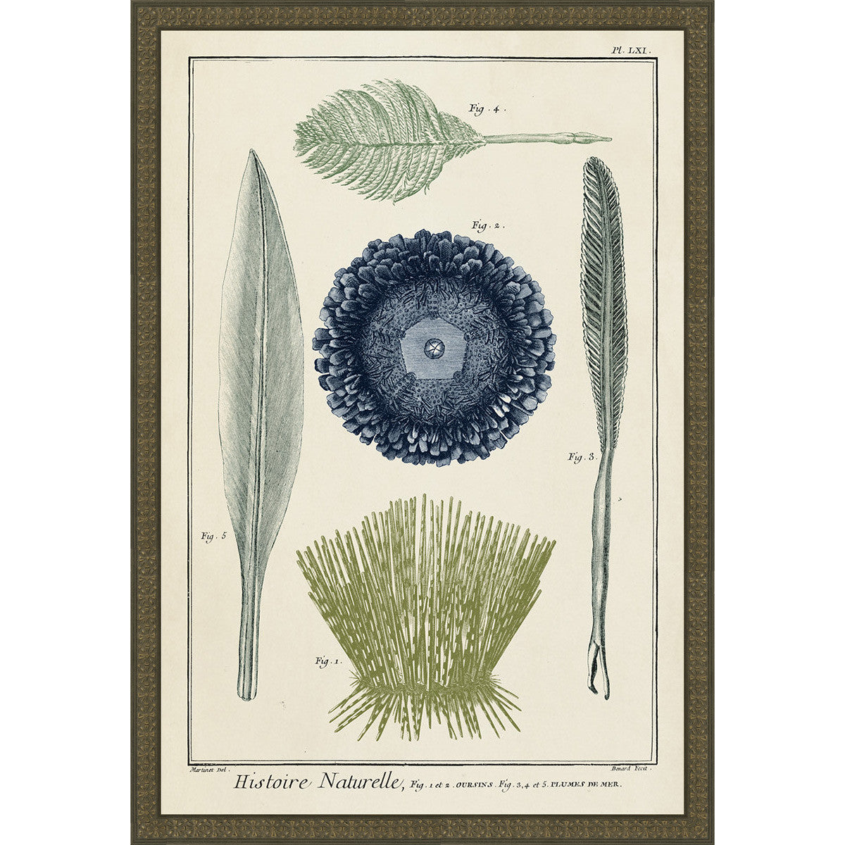 Ocean Journal II Framed Print