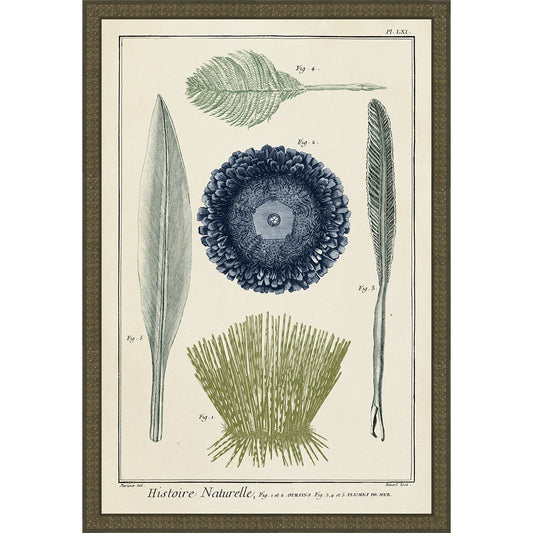 Ocean Journal II Framed Print