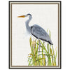 Waterbirds and Cattails II Framed Print