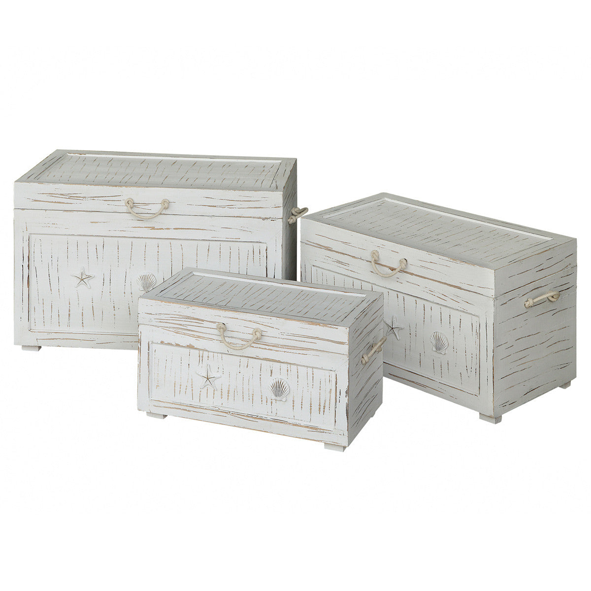 Seaside White Shell Trunks - Set of 3