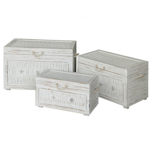 Seaside White Shell Trunks - Set of 3