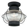 Chatham Black Outdoor Ceiling Light