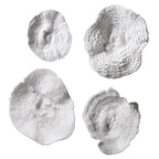Sea Coral Wall Art - Set of 4