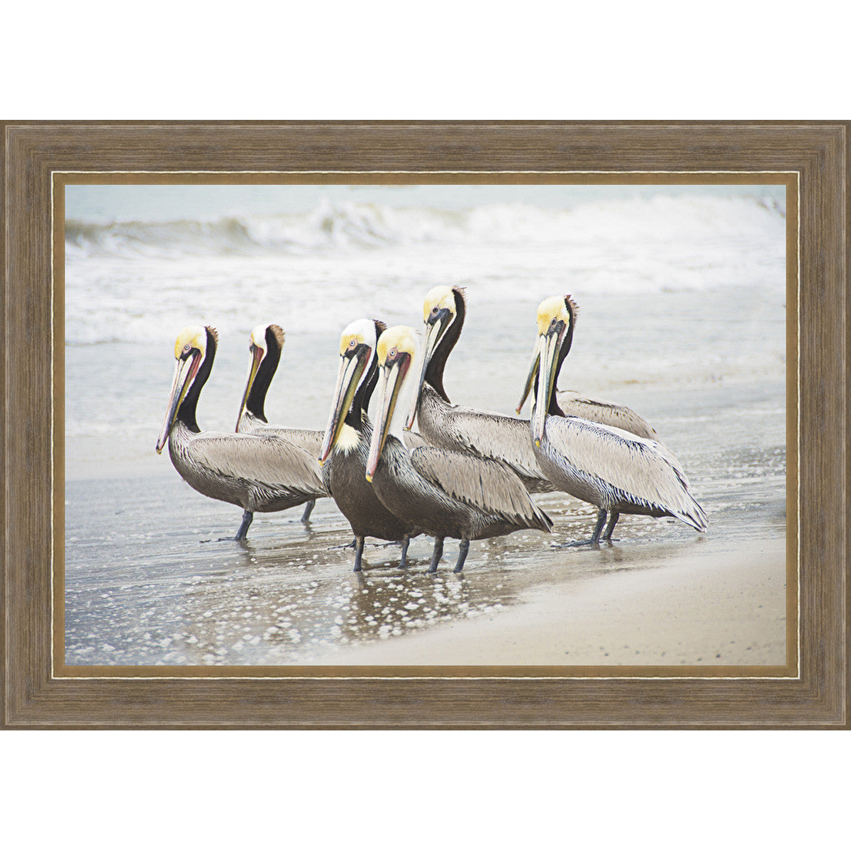 Six Shorebirds Framed Canvas