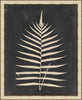 Tropic Fern III Framed Wall Art