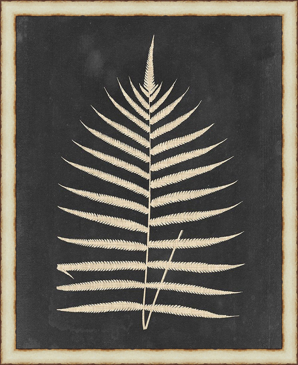 Tropic Fern III Framed Wall Art