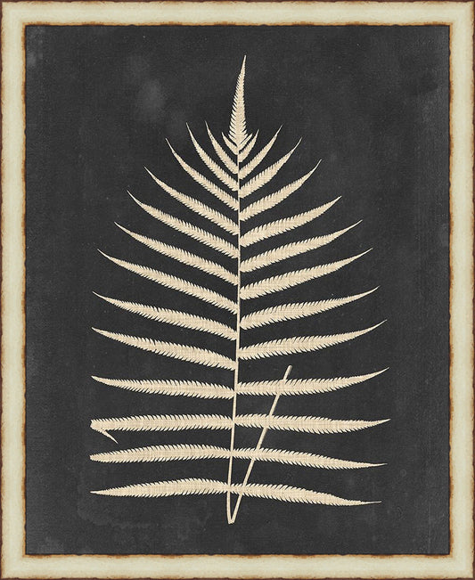 Tropic Fern III Framed Wall Art