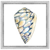 Aquarelle Shells III Framed Print