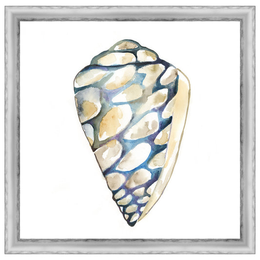 Aquarelle Shells III Framed Print