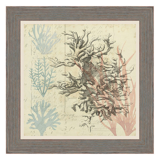 Sea Ephemera IV Framed Print