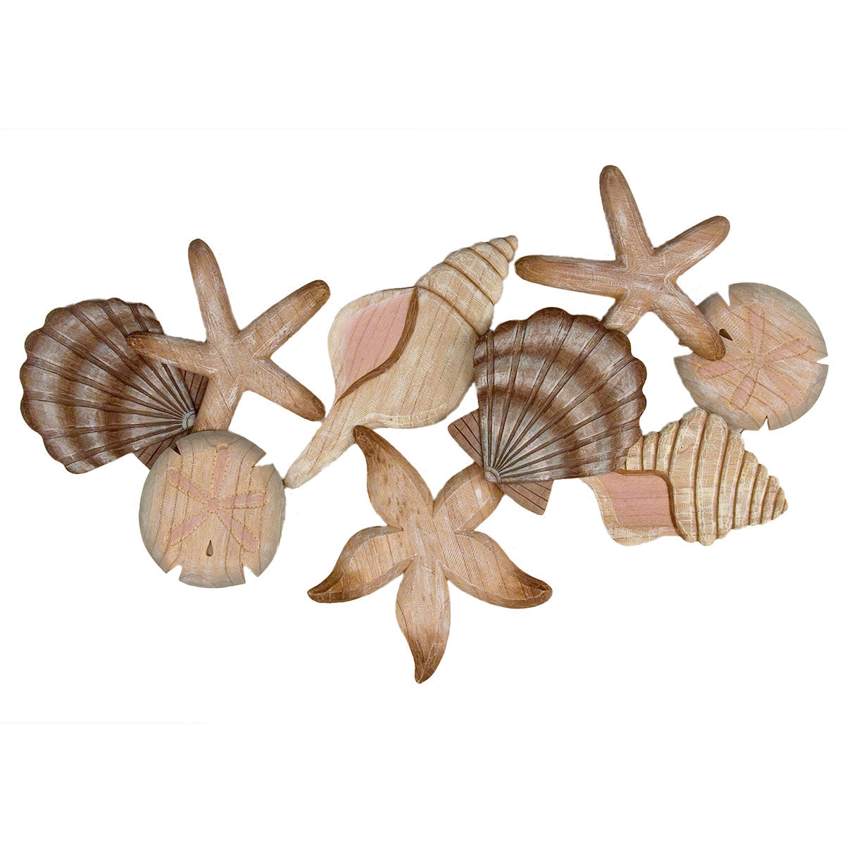 Array of Shells Wall Art - OUT OF STOCK UNTIL 06/05/2026