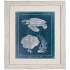 Azure Sea Turtle Study II Framed Print