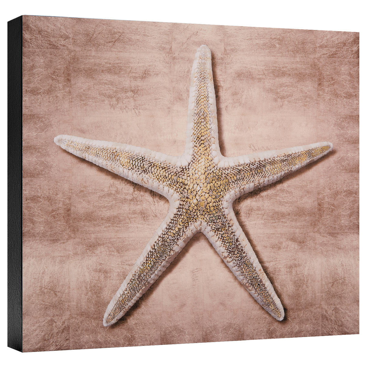 Golden Sea Life I Gallery Wrapped Canvas