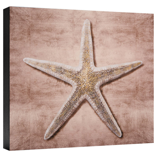 Golden Sea Life I Gallery Wrapped Canvas
