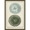 Ocean Journal I Framed Print