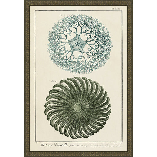 Ocean Journal I Framed Print