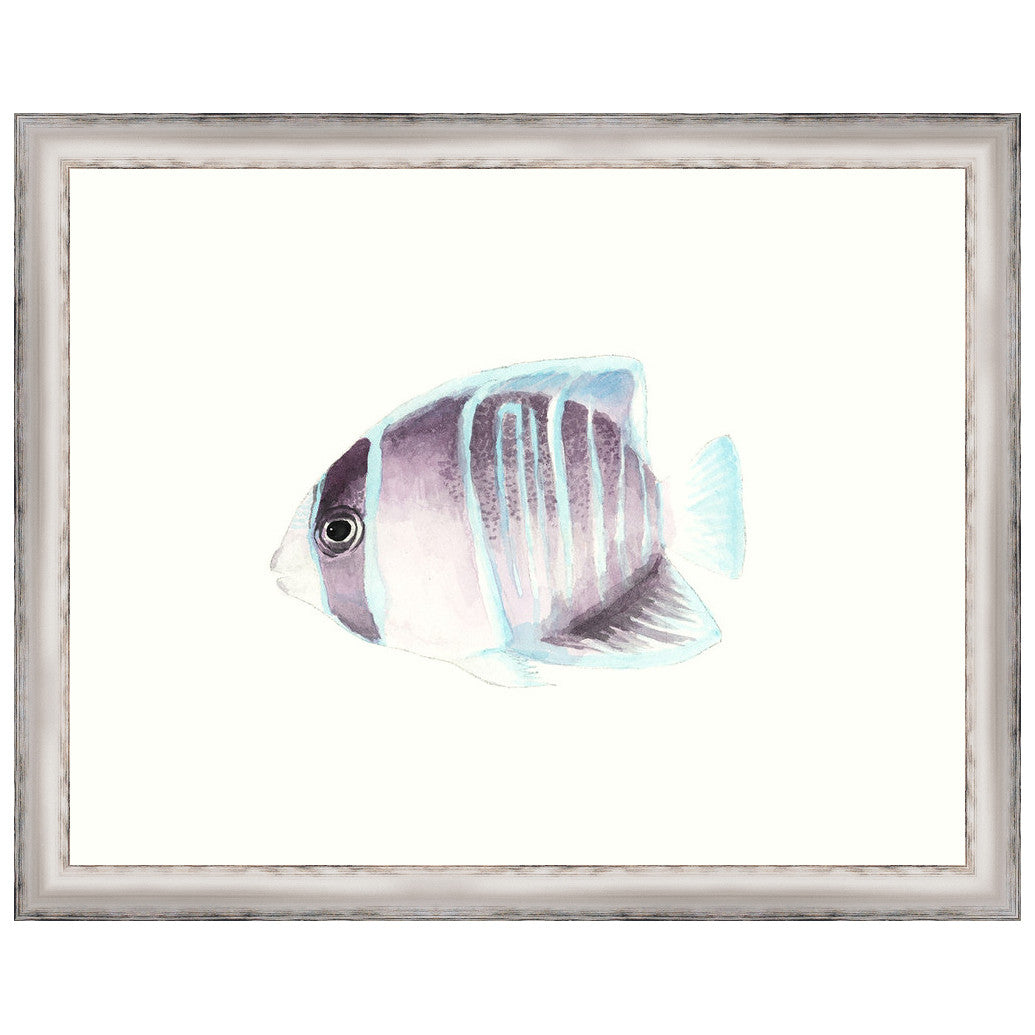 Watercolor Tropical Fish III Framed Print