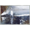 Coastal Lagoon Gull Framed Canvas