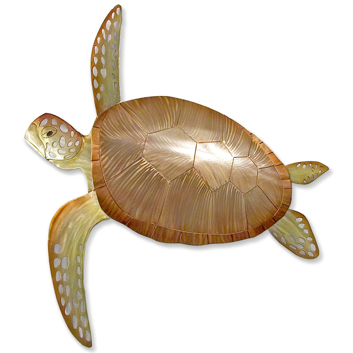 Swimming Solo Turtle Wall Art