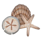 Seashell Wood Wall Art