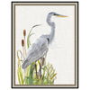 Waterbirds and Cattails I Framed Print